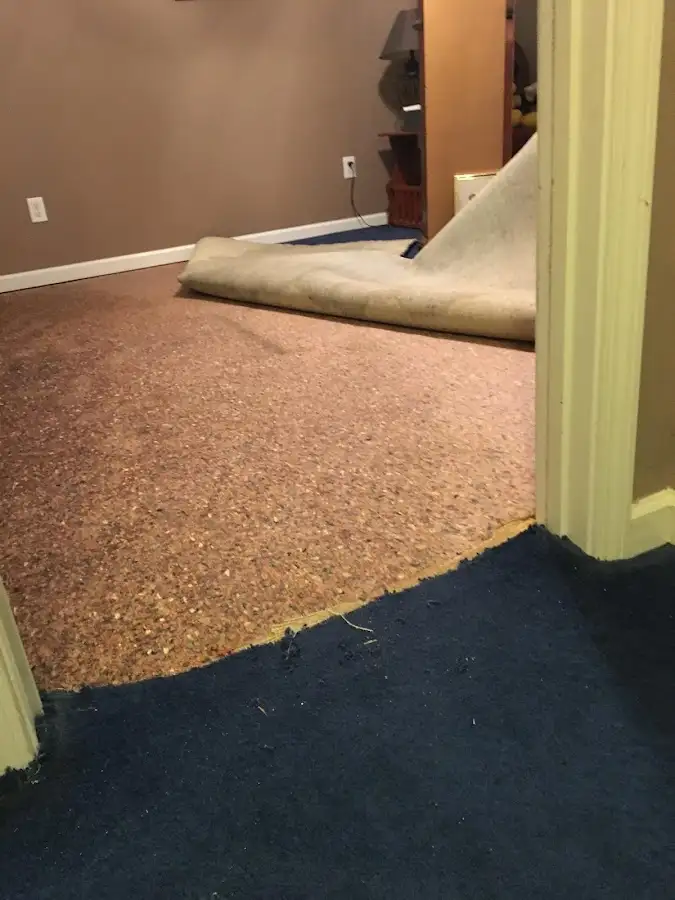 Carpet pad removal revealing water damage during Drying & Dehumidification in Security-Widefield