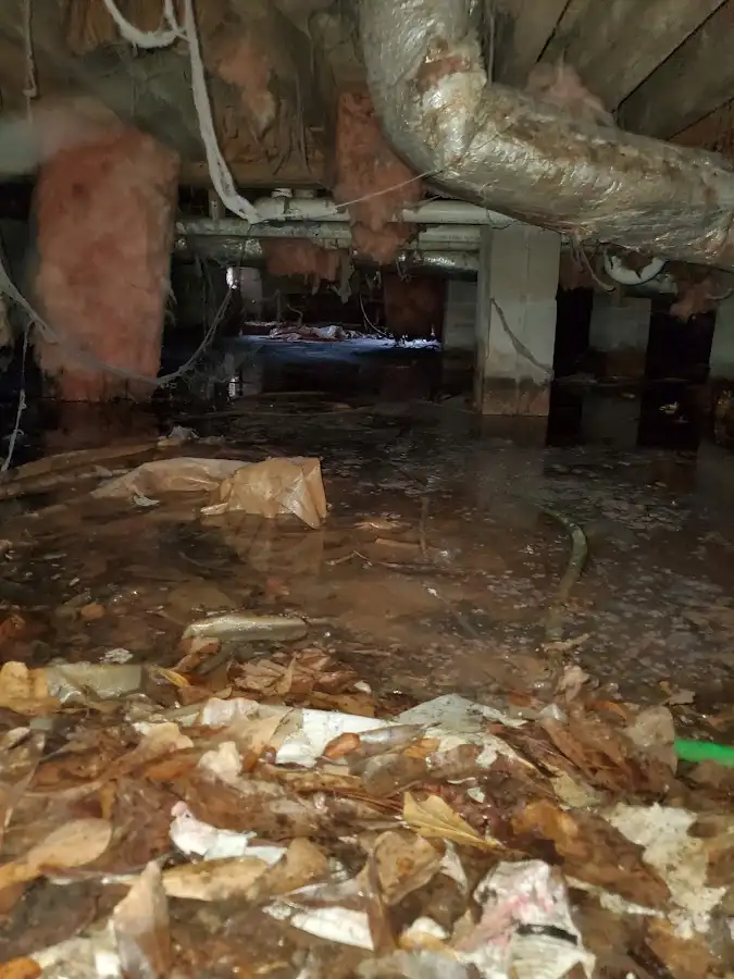 Crawl space flood assessment for Commercial Water Damage Restoration in Security-Widefield